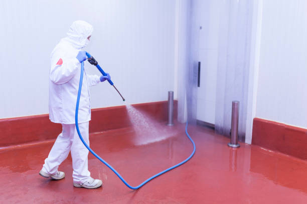 Best Patio and Deck Pressure Washing  in Deerfield, WI